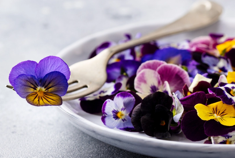 growing edible flowers