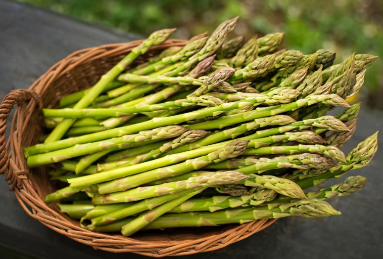 asparagus crowns for sale