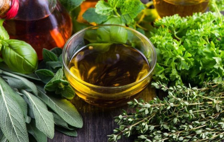 how to grow aromatic plants how to grow aromatic plants