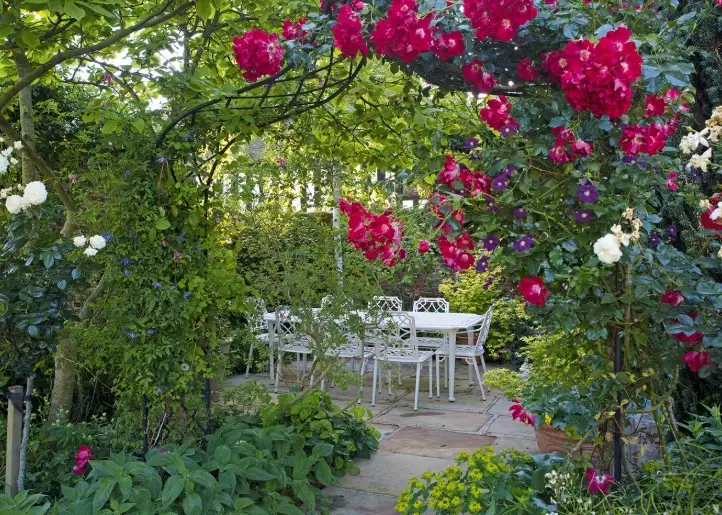 benefits of aromatic plants benefits of aromatic plants