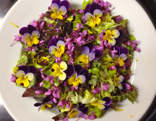 how to use edible flowers