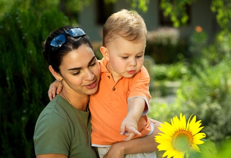 child safe indoor plants