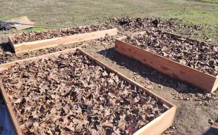 what not to put in raised garden bed