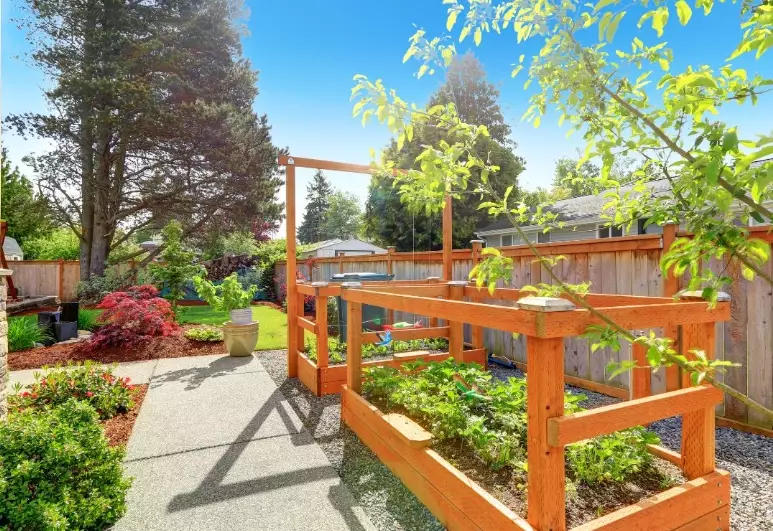 disadvantages of raised garden beds disadvantages of raised garden beds