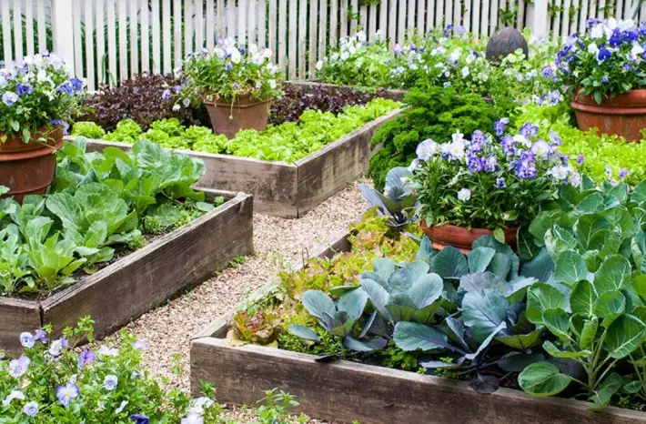 DIY raised bed garden