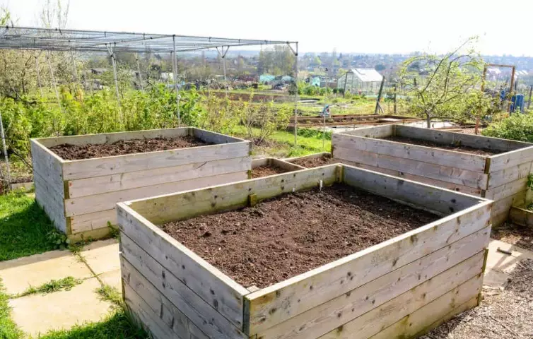 garden soil composition