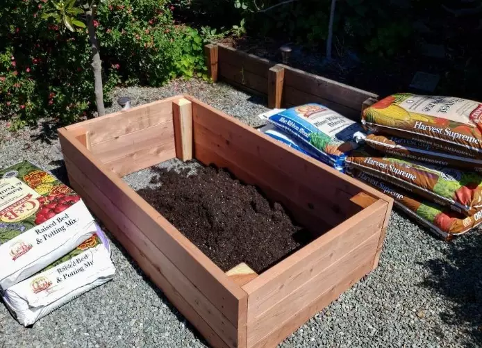 raised bed soil mistakes