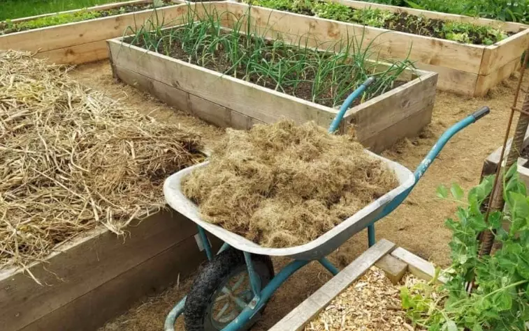 bad soil for garden beds