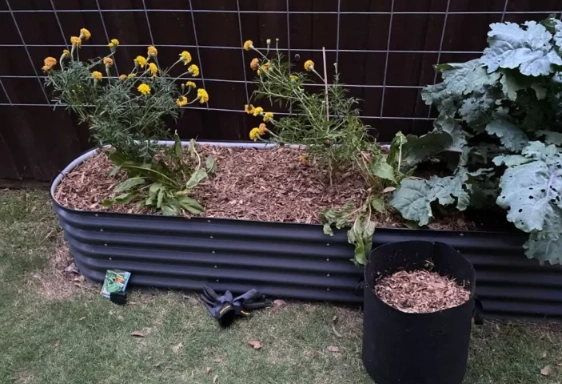 raised bed gardening problems raised bed gardening problems