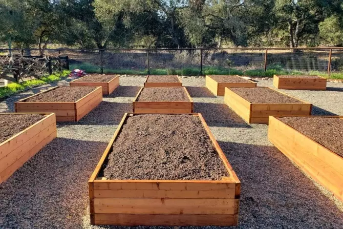 what not to put in raised garden bed