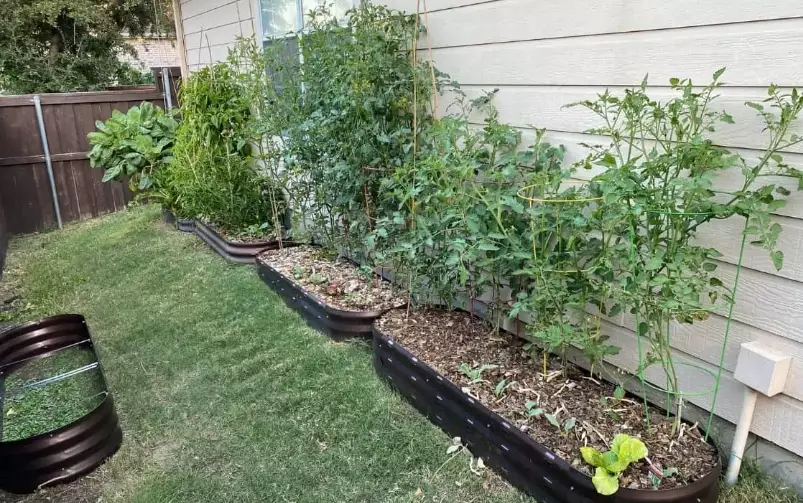 cons of raised garden beds cons of raised garden beds