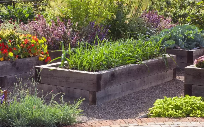 bad soil for garden beds