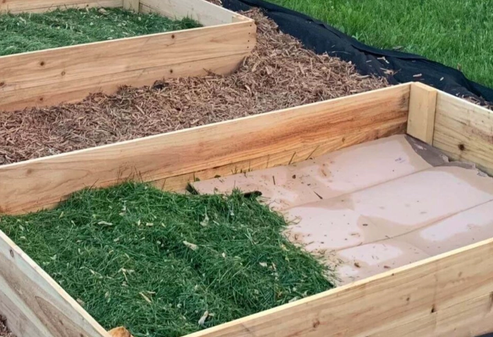 raised bed soil mistakes