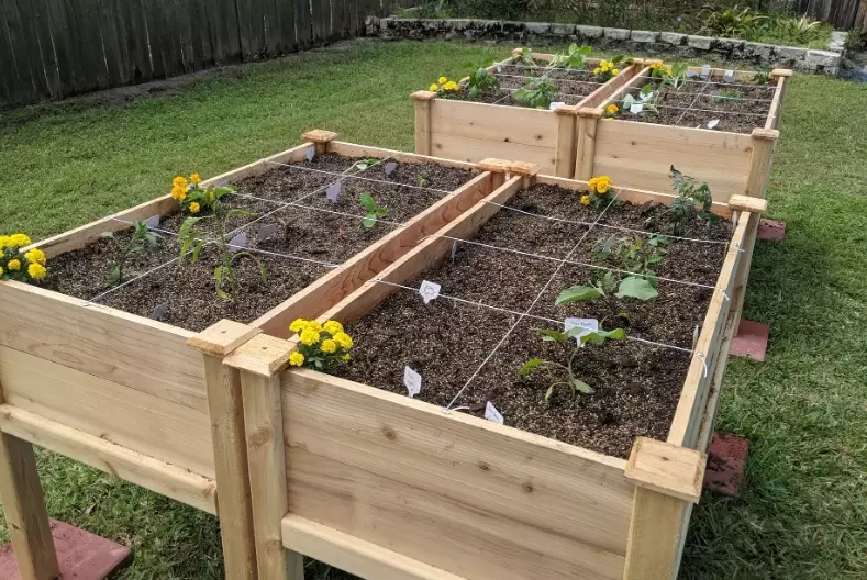 what not to put in raised garden bed