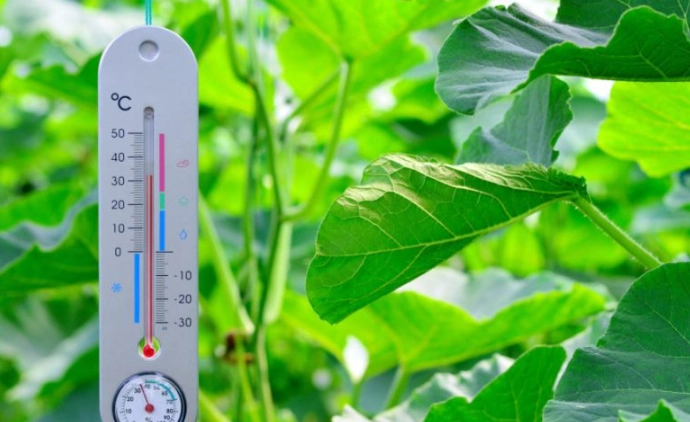 optimal temperature for plants