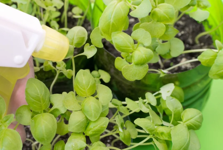 plant humidity guide