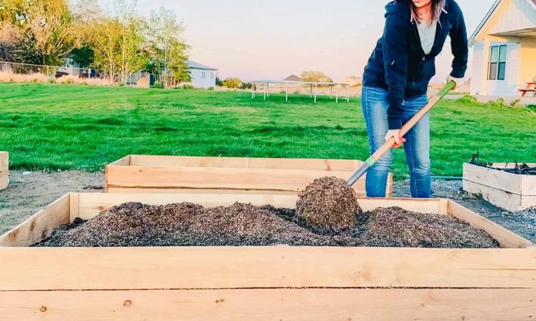 best soil for vegetable garden