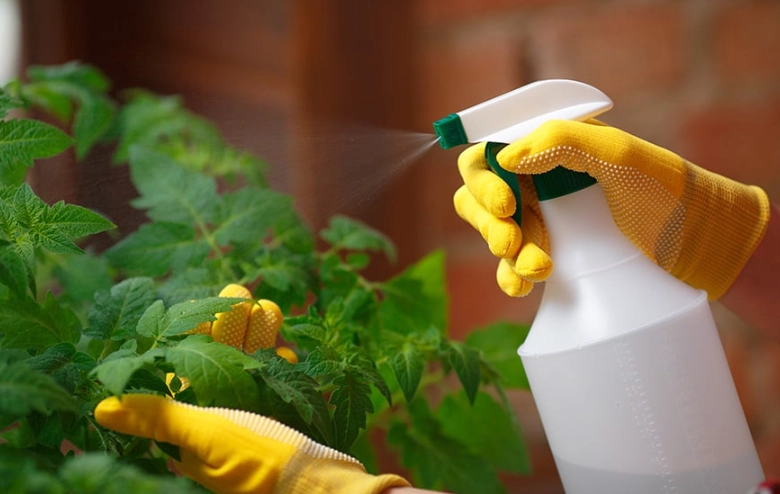 homemade pest repellent homemade pest repellent