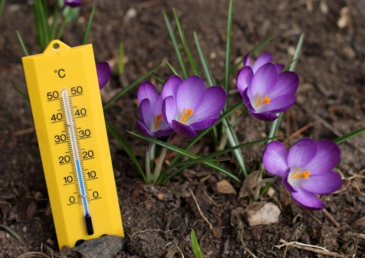 plant temperature range