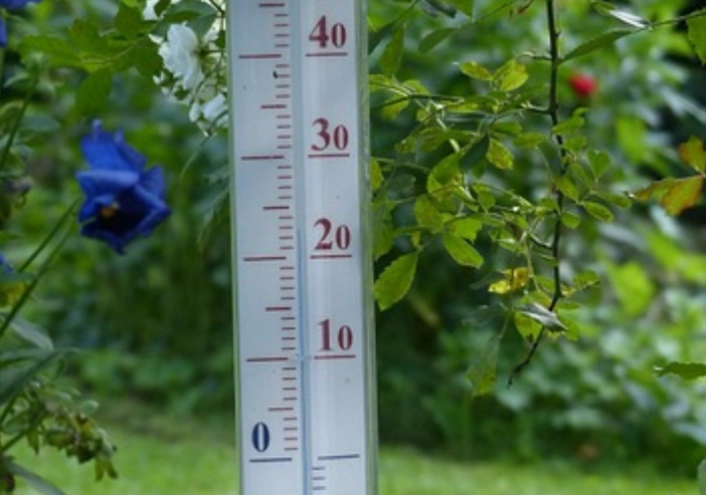 plant temperature range