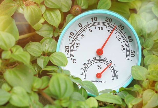 optimal temperature for plants