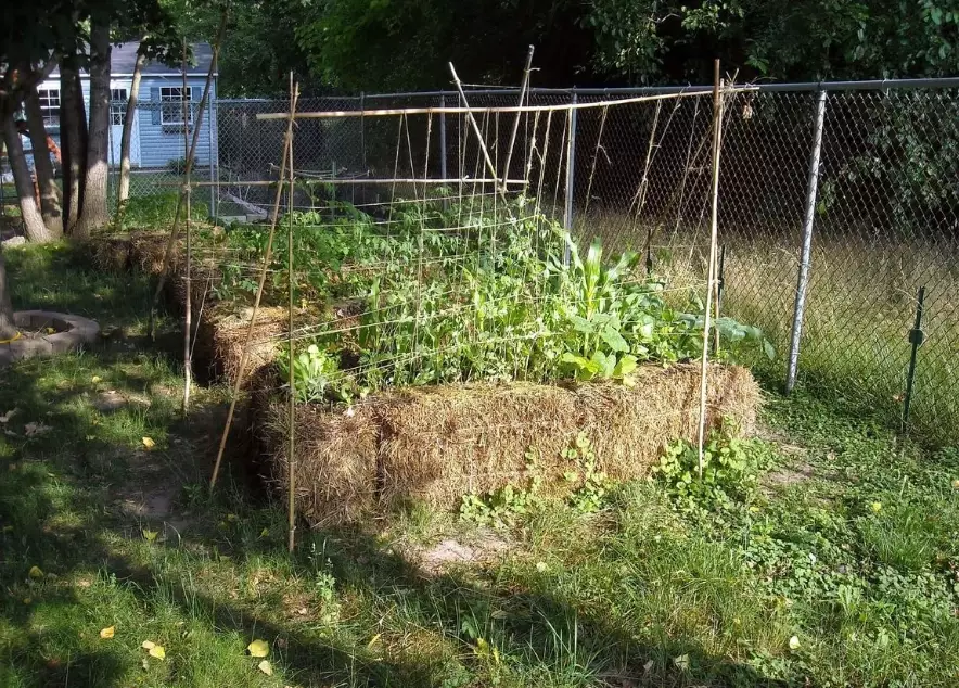 straw bale garden straw bale garden