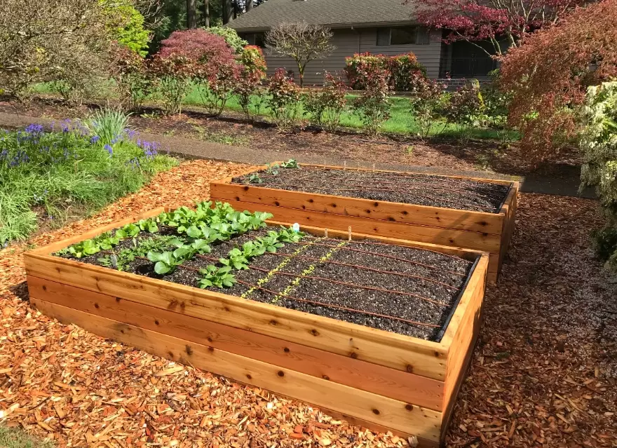 how to build a raised garden bed