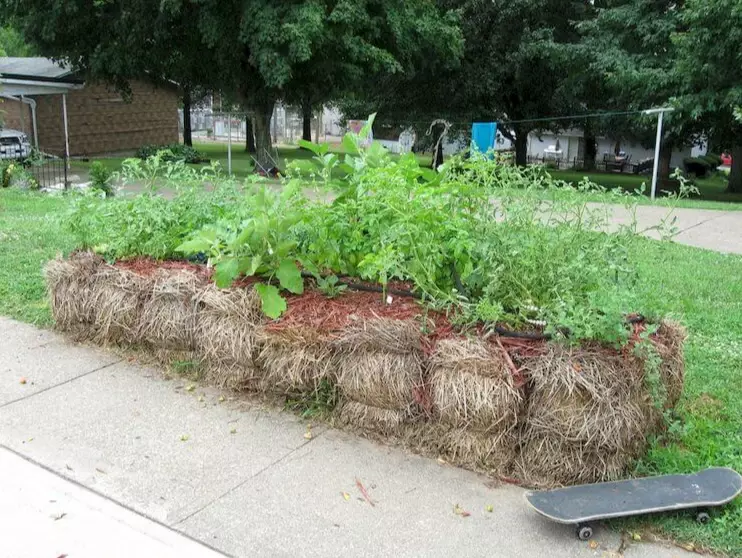 straw bale garden straw bale garden