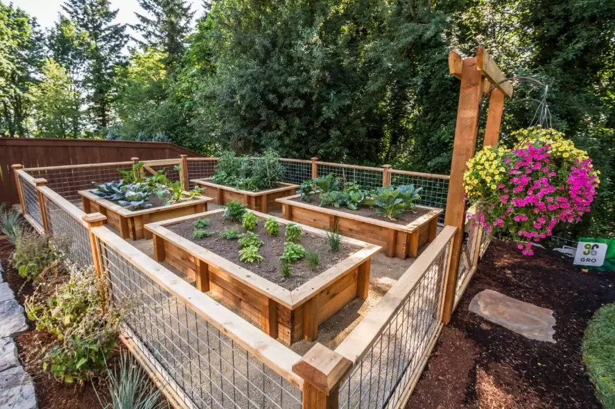 best soil for raised bed