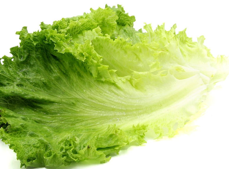 how to store lettuce how to store lettuce