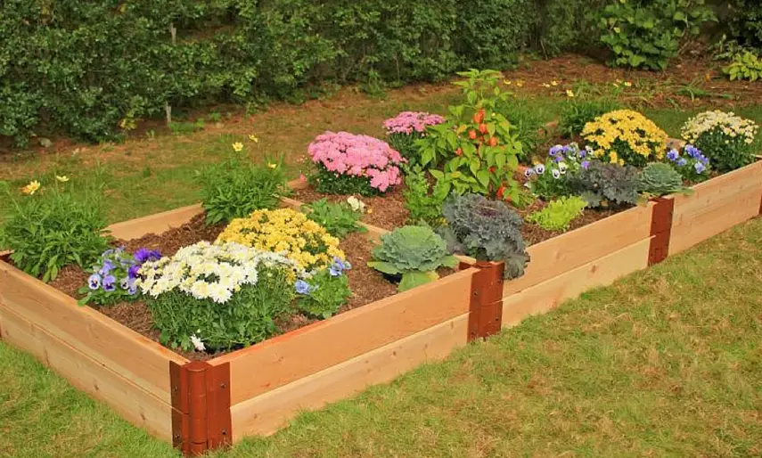 best soil for raised bed