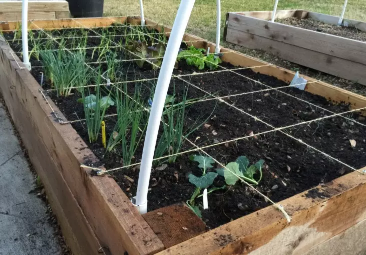 how to fill a raised garden bed how to fill a raised garden bed
