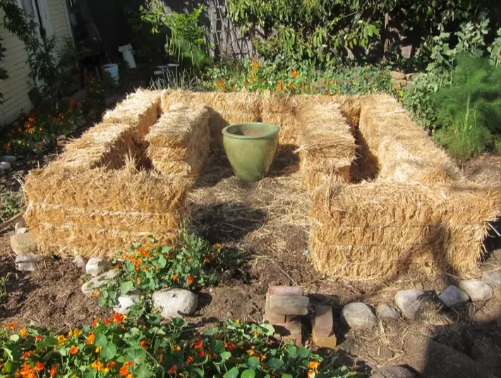 how to start a straw bale garden how to start a straw bale garden