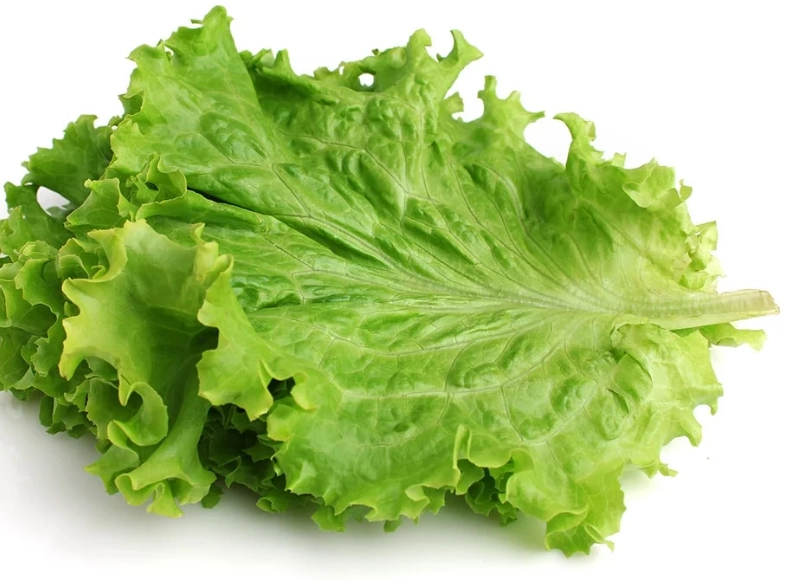 how to store lettuce how to store lettuce