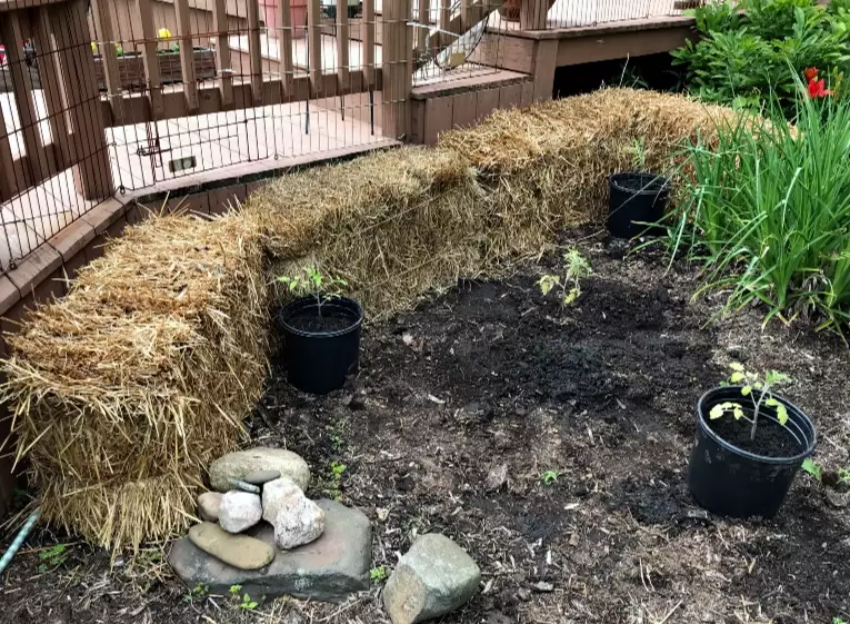 how to start a straw bale garden how to start a straw bale garden