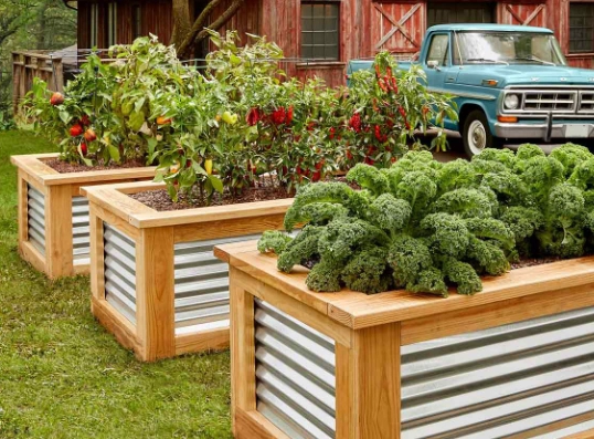 how to build a raised vegetable bed