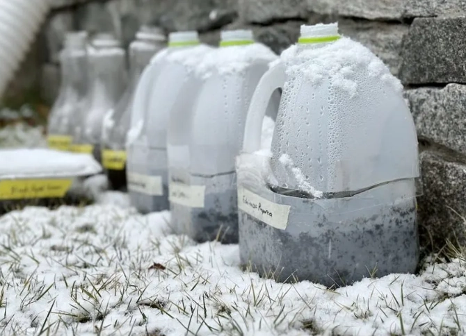 winter sowing method