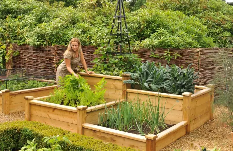 how to build a raised vegetable bed
