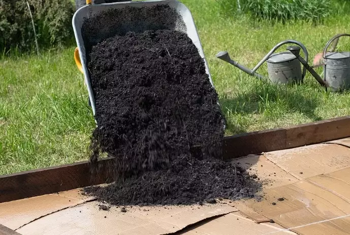 lasagna gardening lasagna gardening