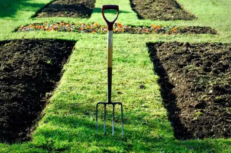 lasagna gardening lasagna gardening