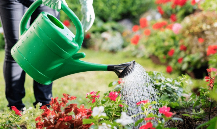 drought tolerant garden drought tolerant garden