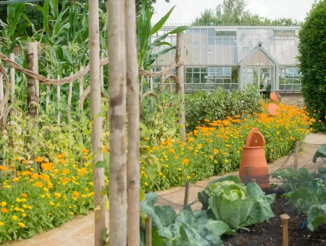 sustainable gardening practices