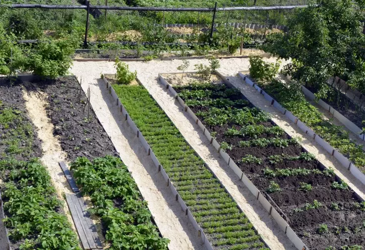 small space gardening