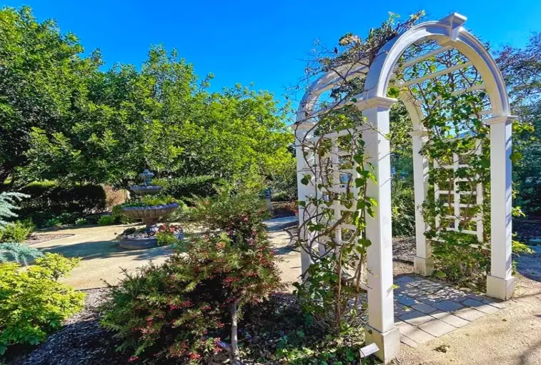 xeriscape garden xeriscape garden