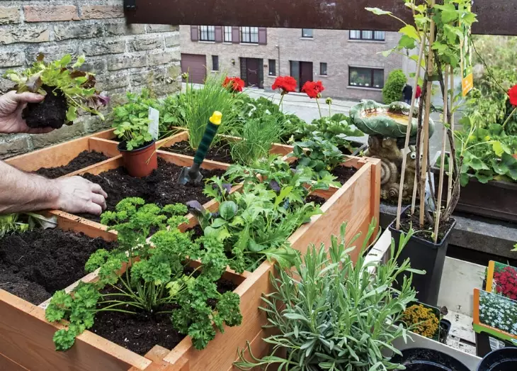 high yield gardening