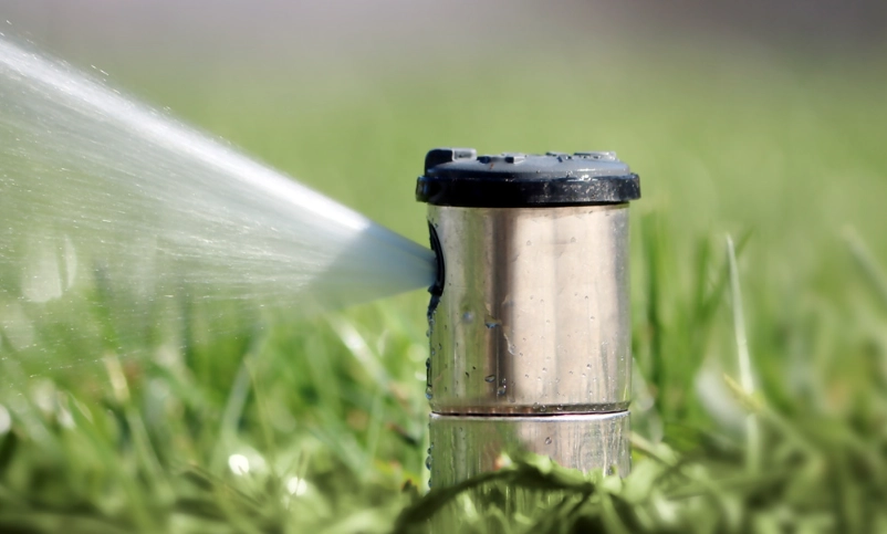 drought tolerant garden drought tolerant garden