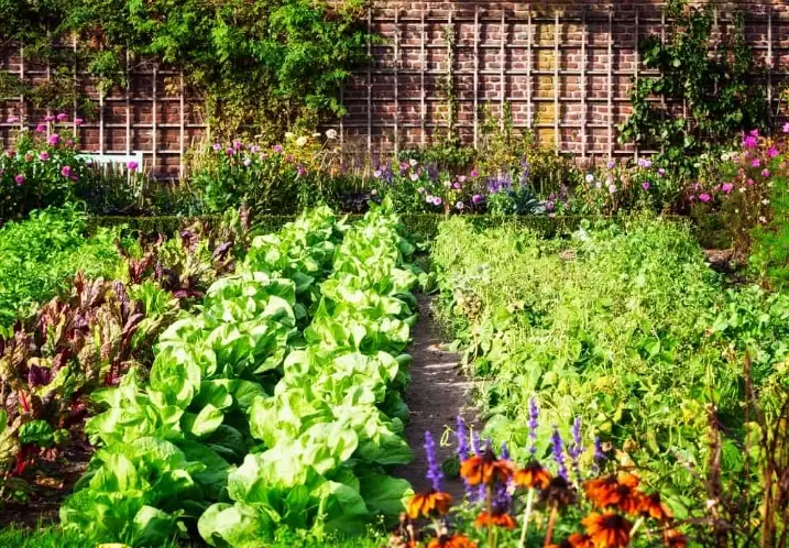 small space gardening