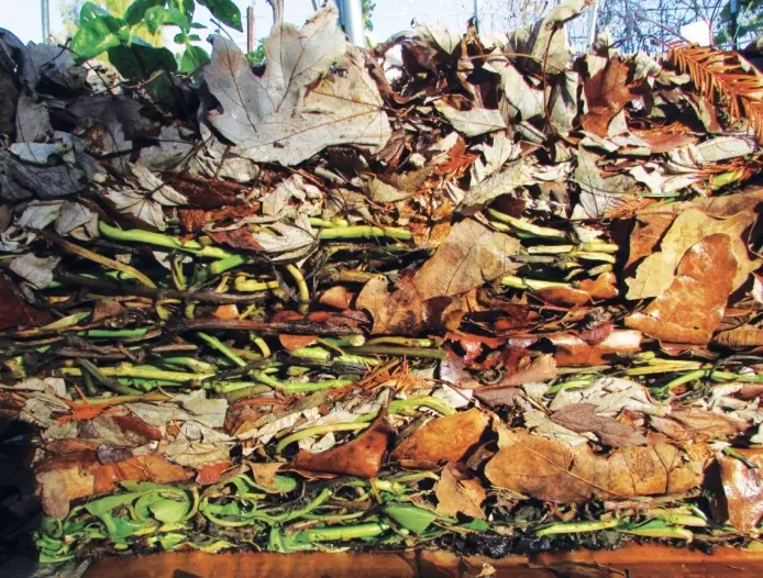 sheet mulching sheet mulching