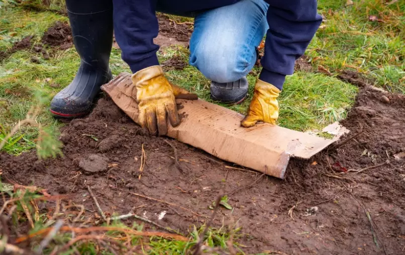 how to start a no-dig garden how to start a no-dig garden