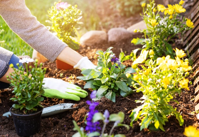 organic gardening tips organic gardening tips